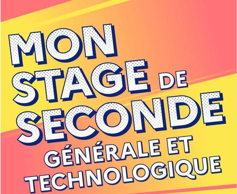 Nouvelles ressources pour les stages de Seconde GT