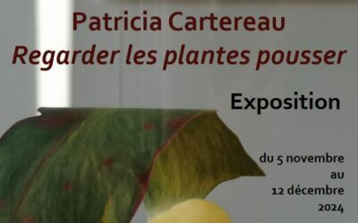 Exposition de Patricia Cartereau : Regarder les plantes pousser (galerie du CDI)