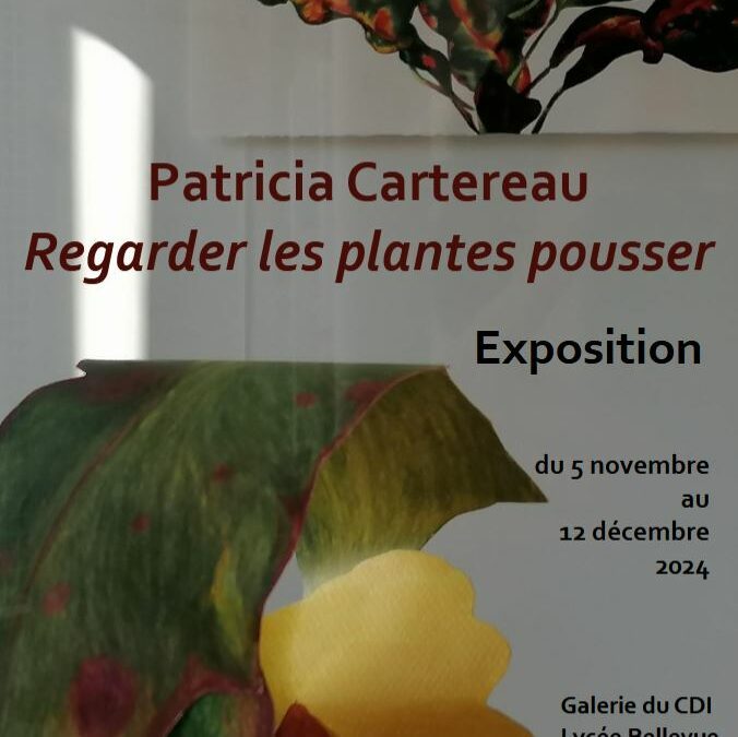 Exposition de Patricia Cartereau : Regarder les plantes pousser (galerie du CDI)